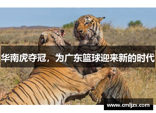 华南虎夺冠，为广东篮球迎来新的时代